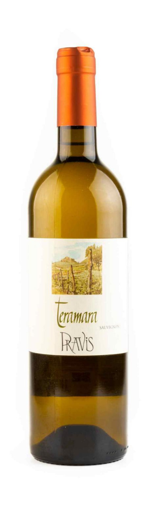 Вино Teramara Sauvignon Vigneti delle Dolomiti IGP